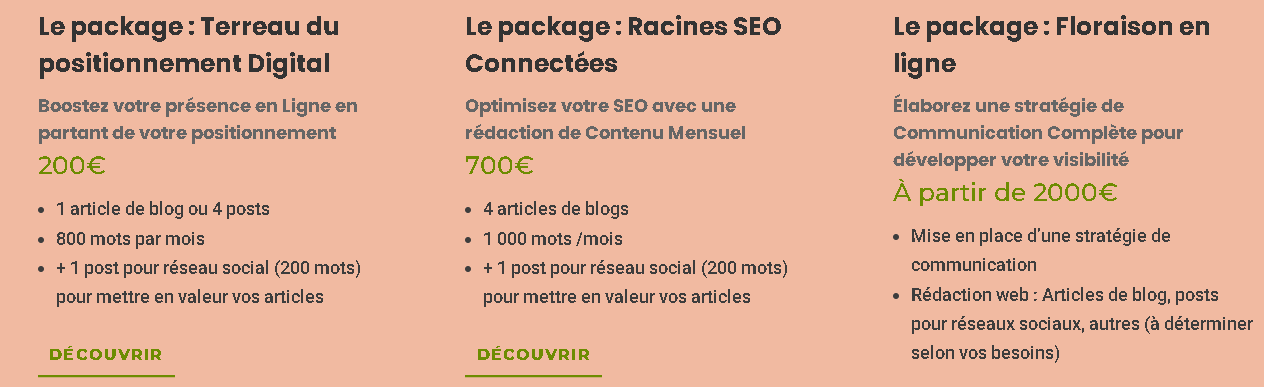 Packages offres de RédacWeb 65